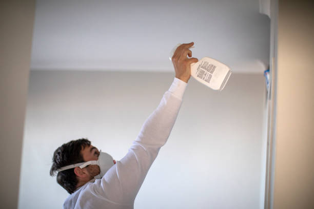 Best Local Mold Removal Service  in Woodsboro, TX