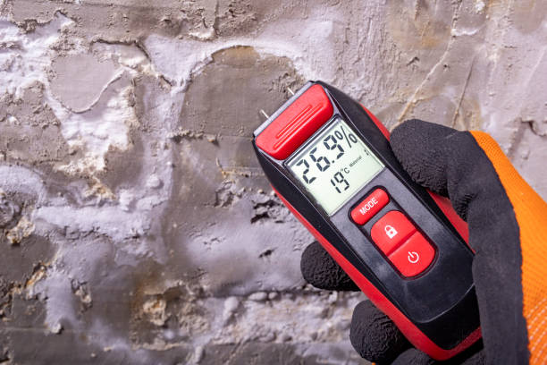 Best Mold Cleaning Services  in Woodsboro, TX