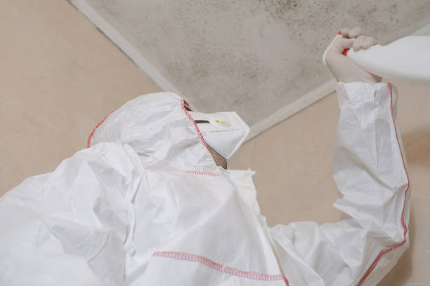 Best Fast Mold Removal  in Woodsboro, TX