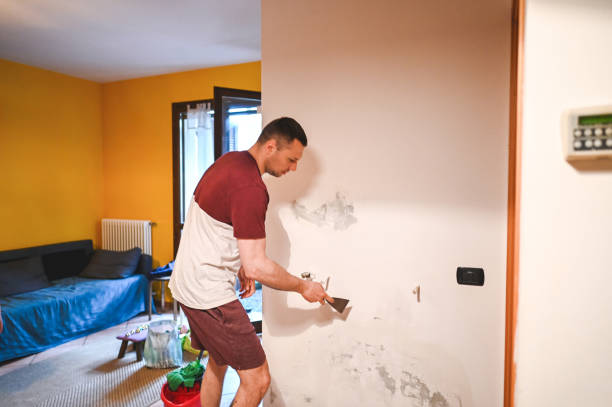Best Toxic Mold Removal  in Woodsboro, TX