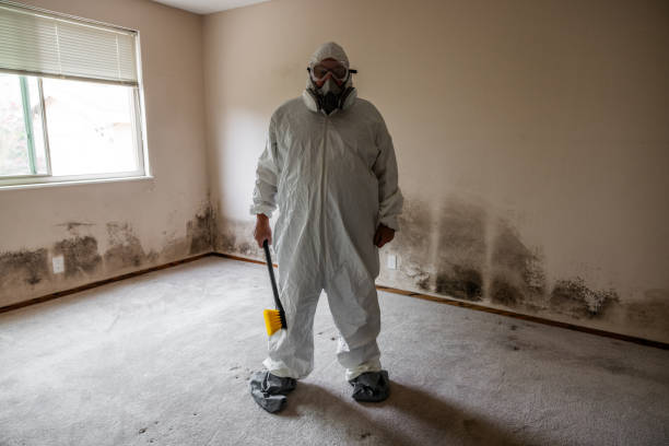 Best Mold Cleaning Services  in Woodsboro, TX
