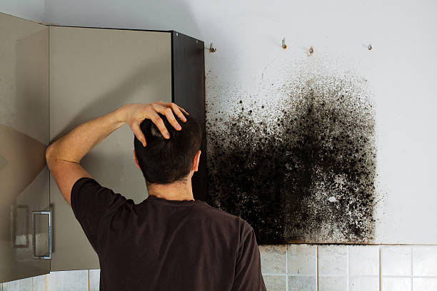 Best Residential Mold Removal  in Woodsboro, TX